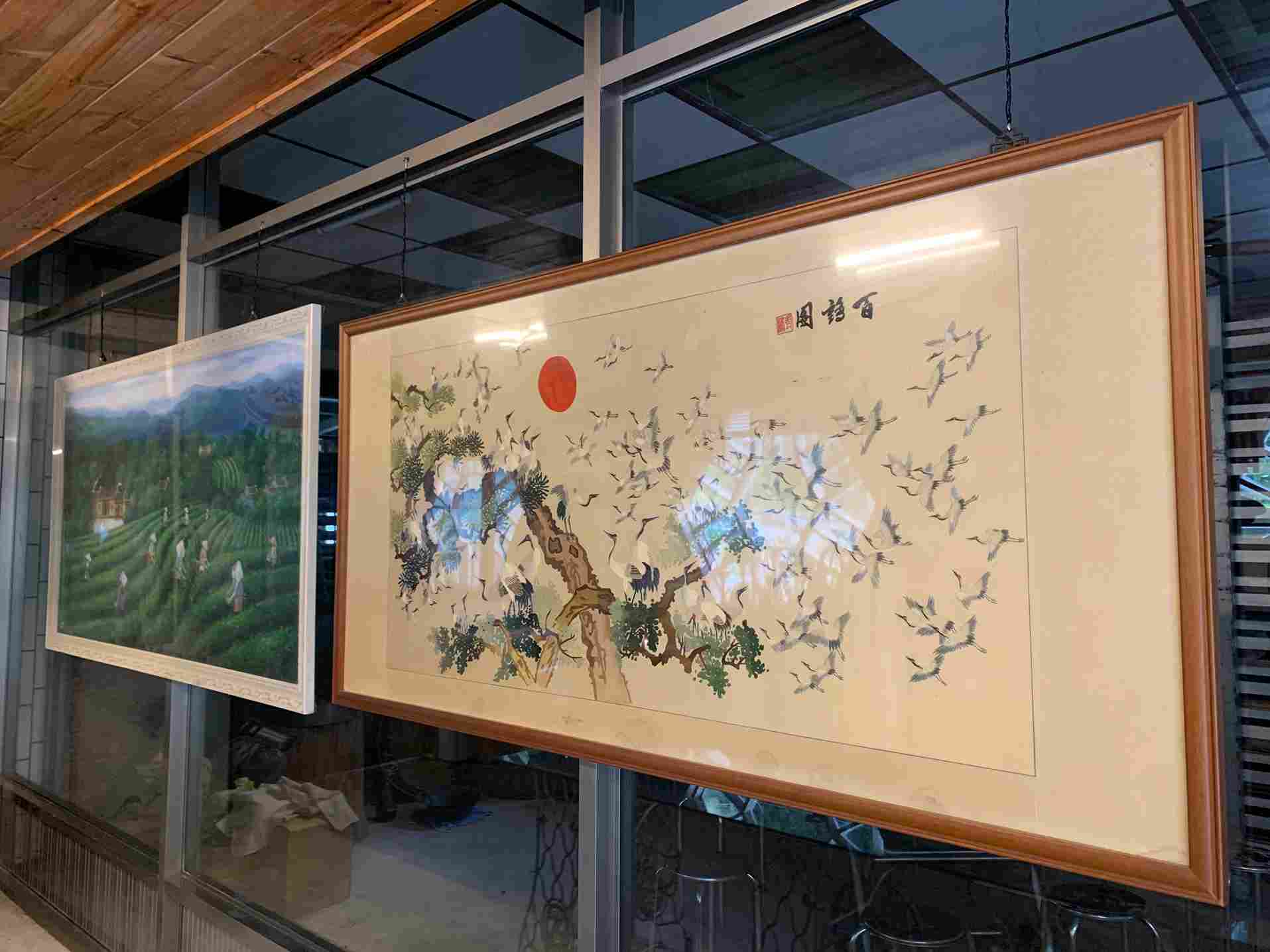 樟15